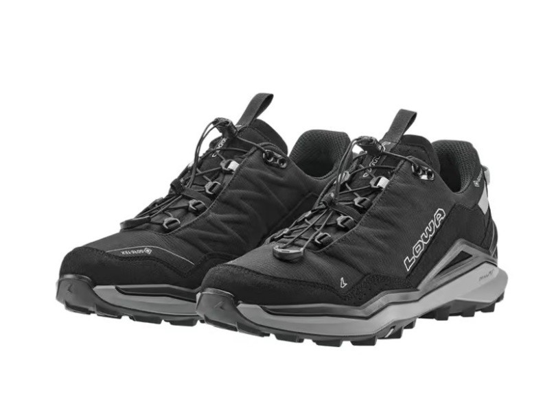 Кроссовки Lowa Maddox Pro GTX LO SL
