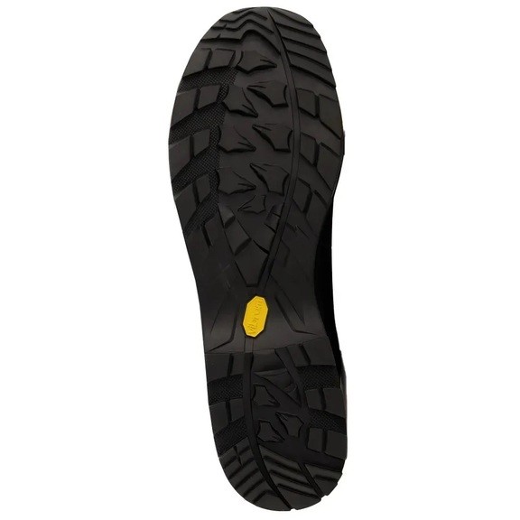 Черевики чоловічі Lowa Camino Evo Gore-Tex Man