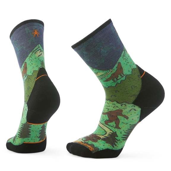 Шкарпетки чоловічі Smartwool Trail Run Targeted Cushion Neature Print Crew Man