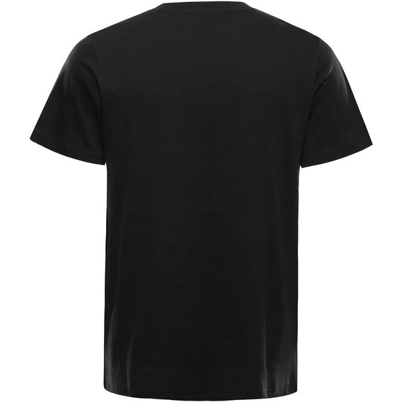 Футболка чоловіча Alpine Pro Grem 2