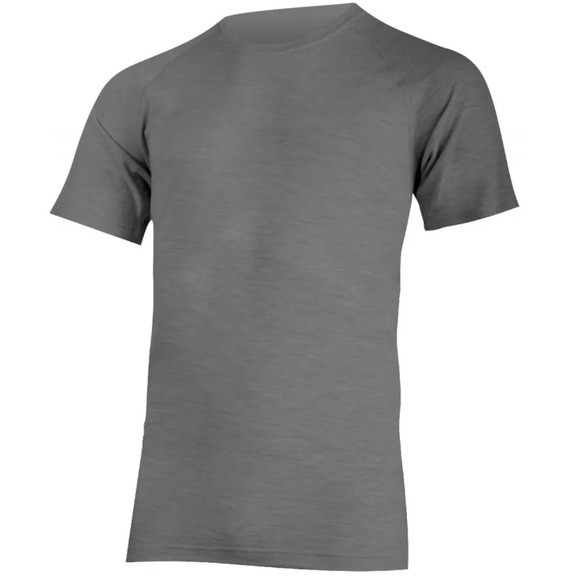 Футболка мужская Lasting Baran