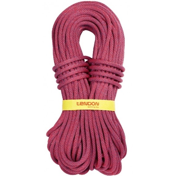Динамічна мотузка Tendon Ambition 10.5 STD 70 м