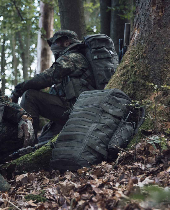 Рюкзак Tasmanian Tiger Base Pack Top Load 30 MC