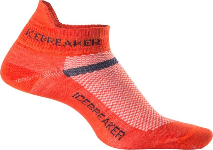 Шкарпетки чоловічі Icebreaker Multisport UltraLight micro