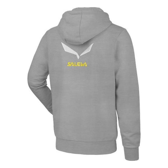 Флис Salewa Solidlogo 2