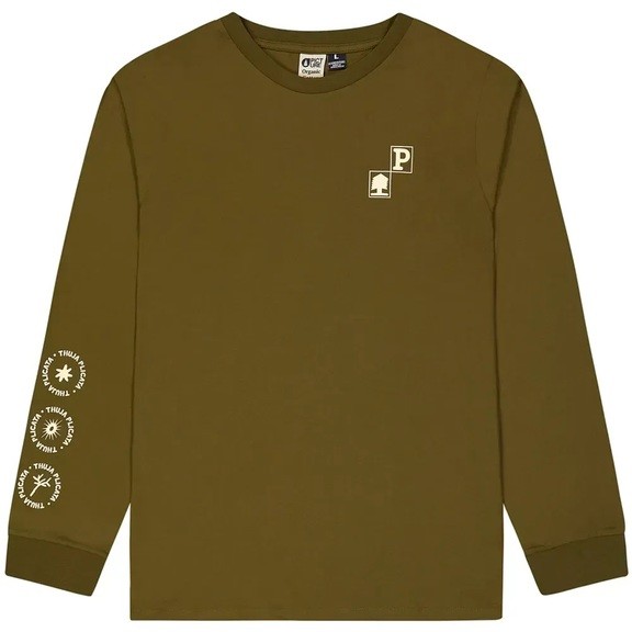 Реглан Picture Organic Pembroke LS