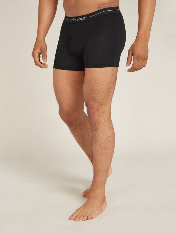 Труси чоловічі Icebreaker 175 Everyday Boxers wFly Men