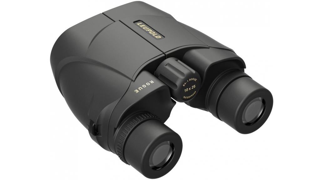 Бинокль Leupold BX-1 Rogue 10X25mm Compact