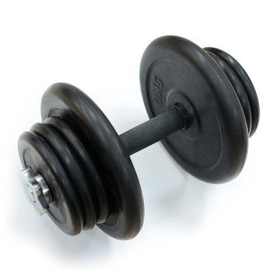 FitLogic 20 kg Rubber Dumbbell