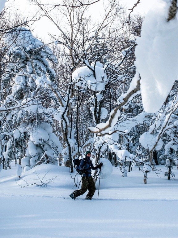 Горнолыжные крепления Marker Duke PT 13 - 2026