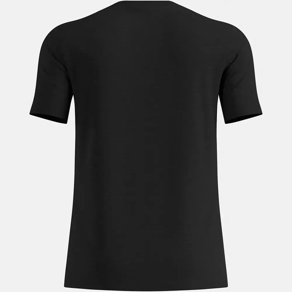 Футболка Odlo Merino 160