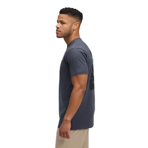 Футболка Black Diamond M Mountainscape SS Tee