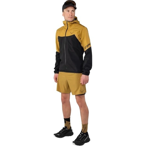 Шорты мужские Dynafit Alpine Pro 2/1 Shorts Men