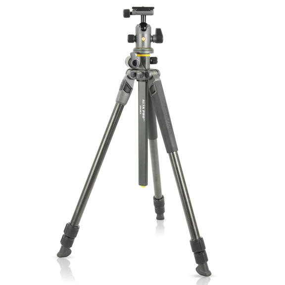 Штатив Vanguard Alta Pro 2+ 263CB 100