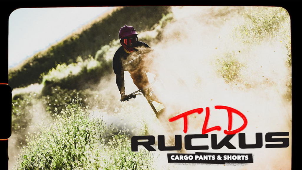 Велоштаны TLD Ruckus Cargo Pant Mono