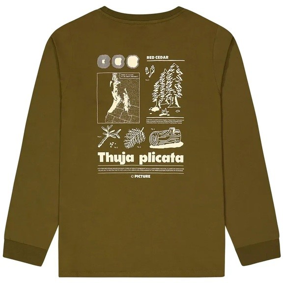 Реглан Picture Organic Pembroke LS