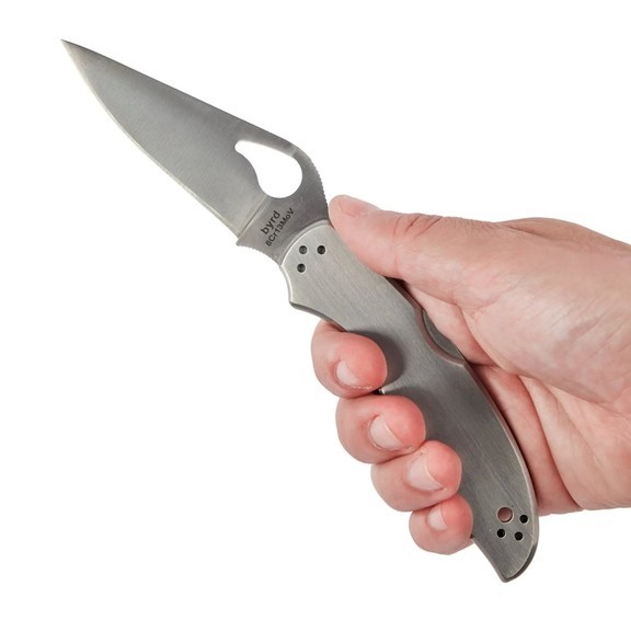 Ніж складаний Spyderco Byrd Robin 2