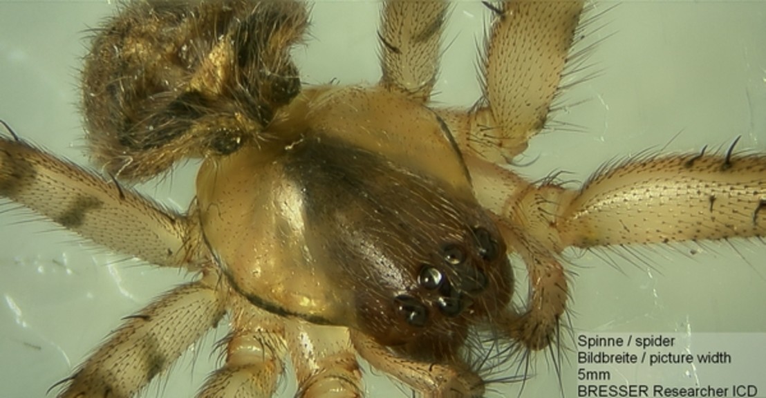 Мікроскоп Bresser Researcher ICD LED 20x-80x