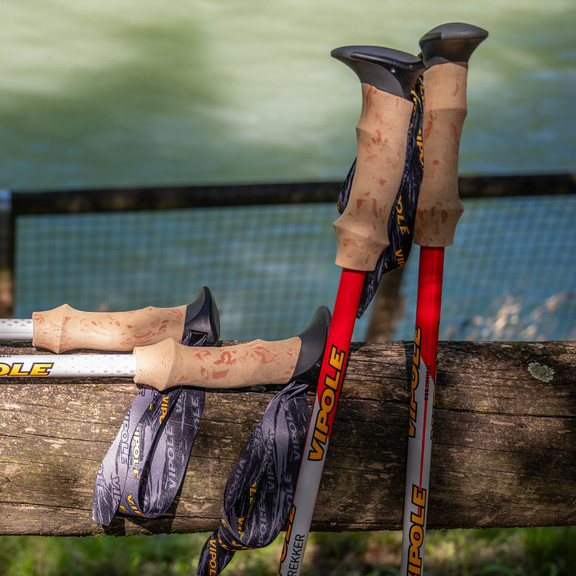 Палиці трекінгові Vipole Trekker Cork (S25 09)