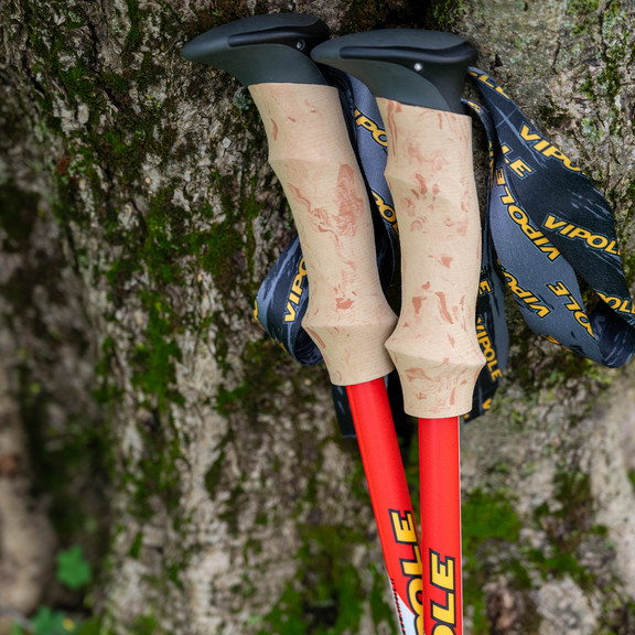 Палиці трекінгові Vipole Trekker Cork (S25 09)