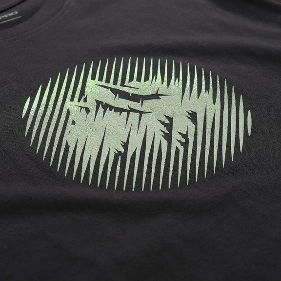 Футболка чоловіча Alpine Pro Grem 2