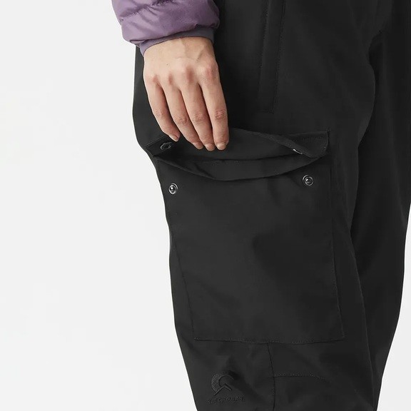 Брюки лыжные Picture Organic Brita Bib W 2026