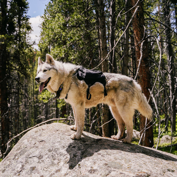 Рюкзак для собак Ultimate Direction Dog Vest V2