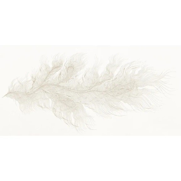 Футболка жіноча Turbat Misool Women