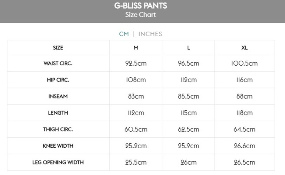 Брюки мужские горнолыжные Goldwin G-Bliss Pants