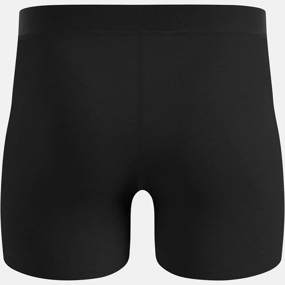Термотрусы Odlo Merino 160