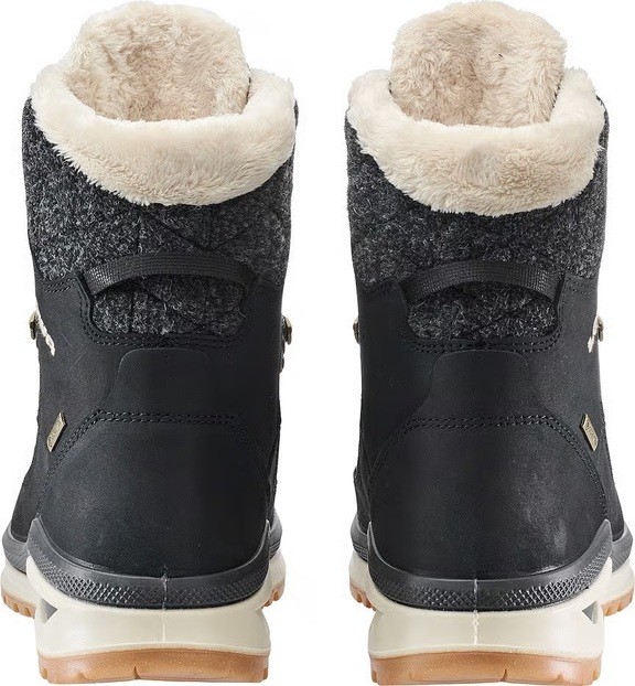 Черевики жіночі Lowa Renegade Evo Ice 2 GTX Women