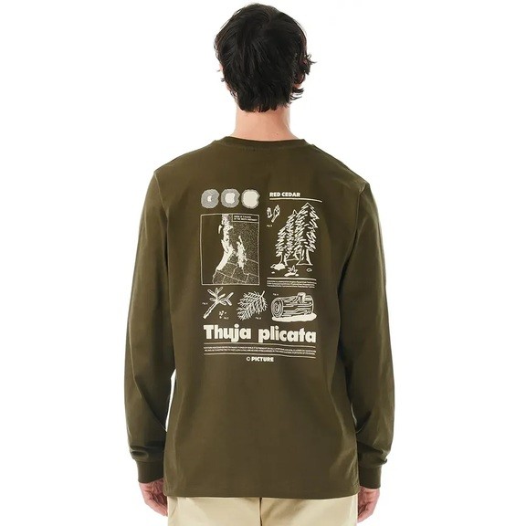 Реглан Picture Organic Pembroke LS