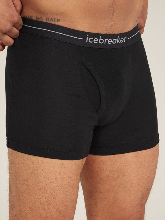 Труси чоловічі Icebreaker 175 Everyday Boxers wFly Men