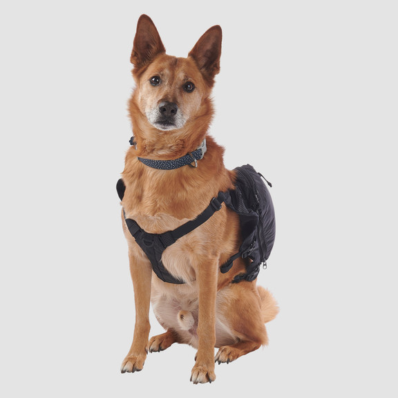 Рюкзак для собак Ultimate Direction Dog Vest V2