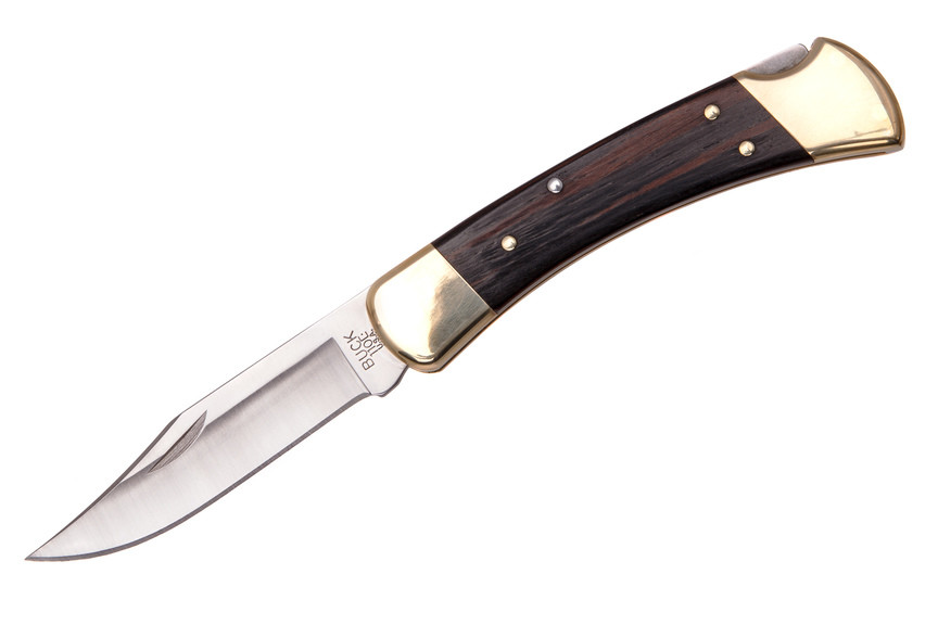 Нож Buck Folding Hunter 110BRSB