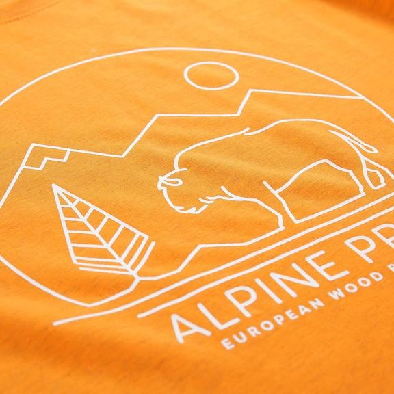 Футболка мужская Alpine Pro Abic 9