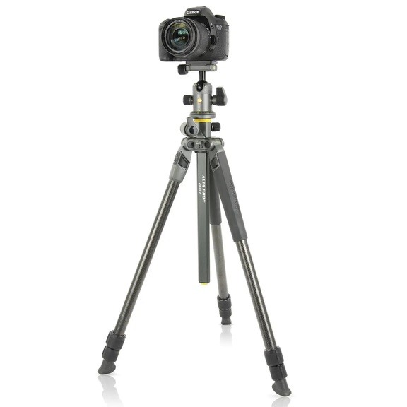 Штатив Vanguard Alta Pro 2+ 263CB 100