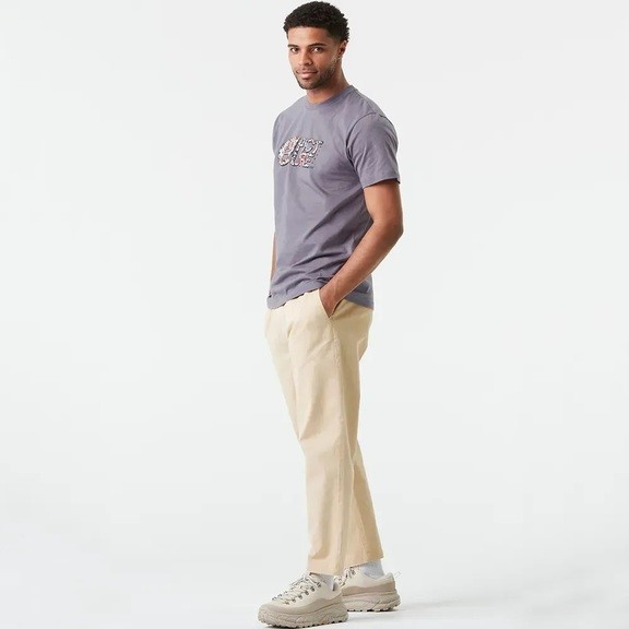 Футболка Picture Organic Basement Aster excalibur Men