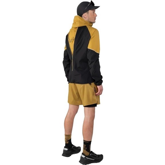 Шорты мужские Dynafit Alpine Pro 2/1 Shorts Men