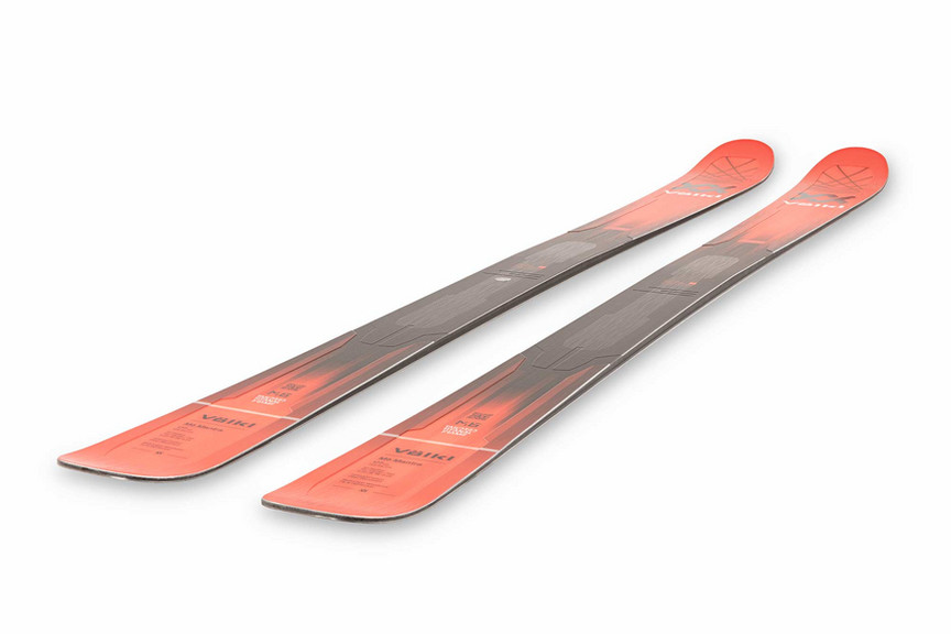 Горные лыжи Volkl M6 Mantra 21/22