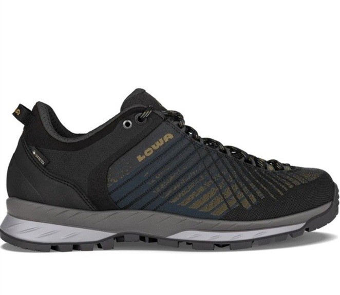 Кроссовки мужские Lowa Carezza GTX