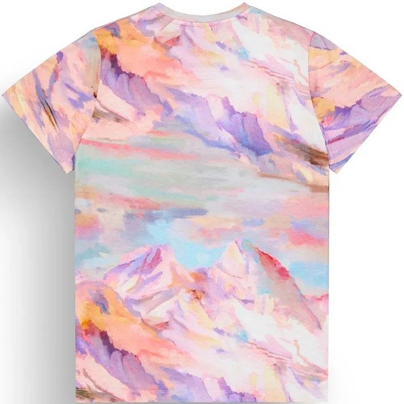 Футболка женская Picture Organic Aulden Printed Women