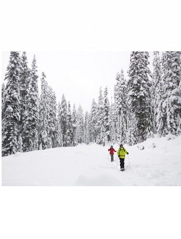 Снегоступы MSR Revo Trail 25 W