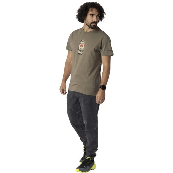 Футболка мужская Dynafit Graphic Cotton M S/S Tee